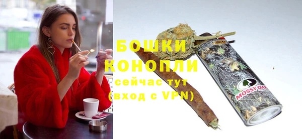 PSILOCYBIN Белокуриха
