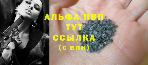 PSILOCYBIN Белокуриха