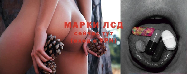 PSILOCYBIN Белокуриха
