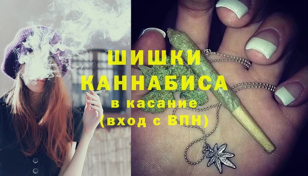 PSILOCYBIN Белокуриха