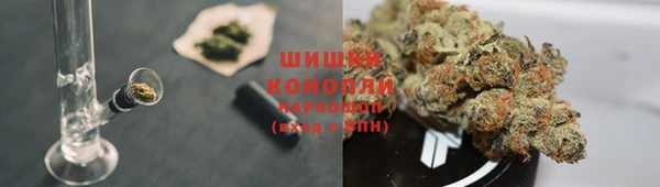 PSILOCYBIN Белокуриха