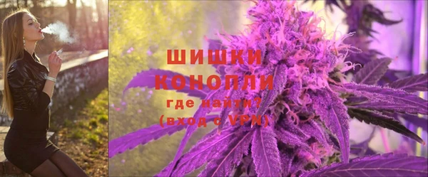 PSILOCYBIN Белокуриха