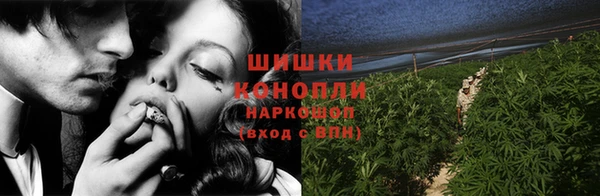 PSILOCYBIN Белокуриха