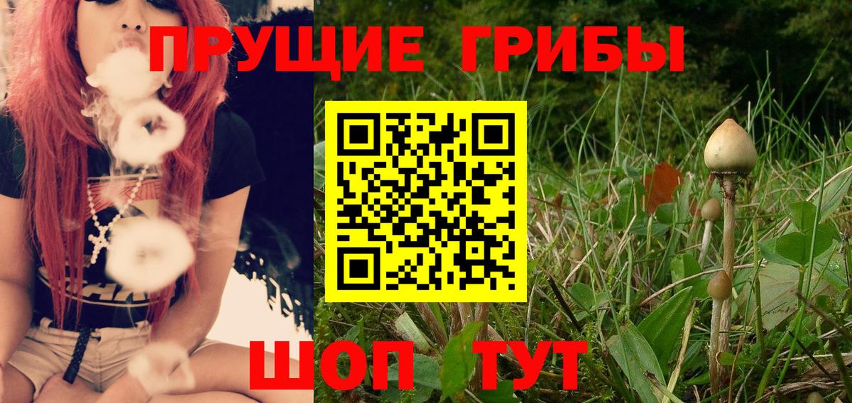 Лыткарино  Псилоцибиновые грибы мухоморы  Псилоцибиновые грибы Psilocybine cubensis  Вход с VPN 