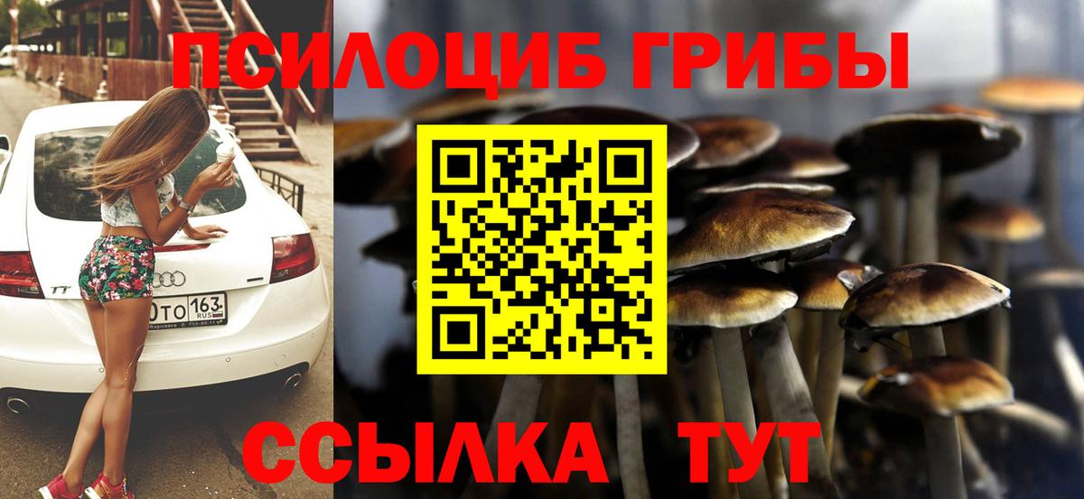 Псилоцибиновые грибы Psilocybe Лыткарино
